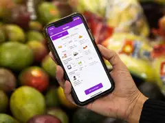 A hand holds a smartphone showing a purple WIC benefits app screen that lists current food benefits for 4/24/2023 to 5/23/2023, such as cheese, eggs and whole grains, in front of a blurred display of mangoes