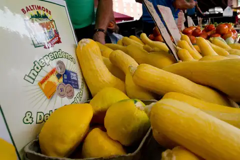 Yellow squash at a Baltimore farmers market stall beside a sign showing that the market accepts Independence cards, debit cards and tokens
