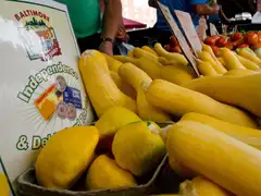 Yellow squash at a Baltimore farmers market stall beside a sign showing that the market accepts Independence cards, debit cards and tokens